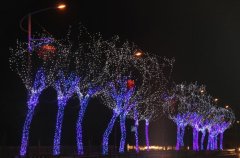 甘肅省天水市，秦州區(qū)亮化工程